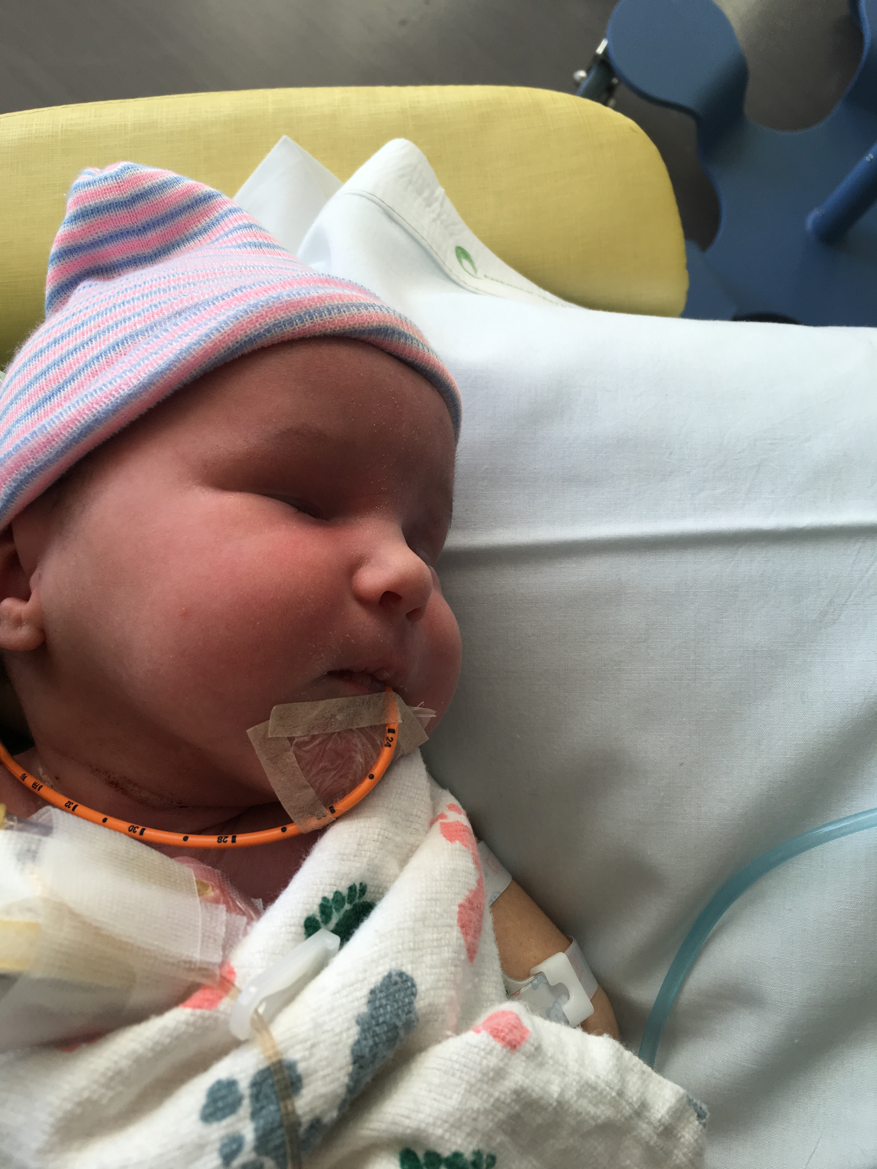 Hello world (Marian)