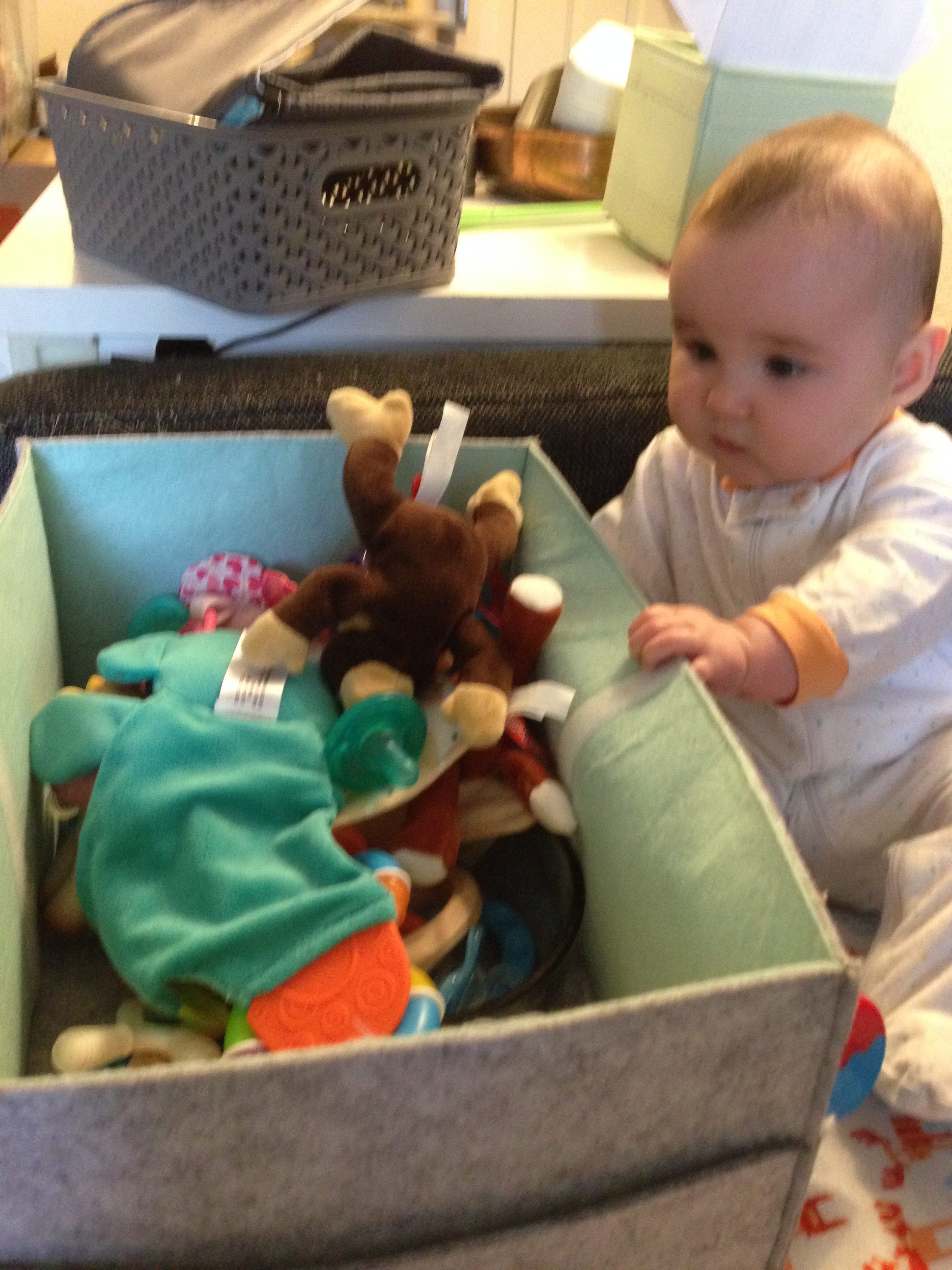 Which toy to choose?