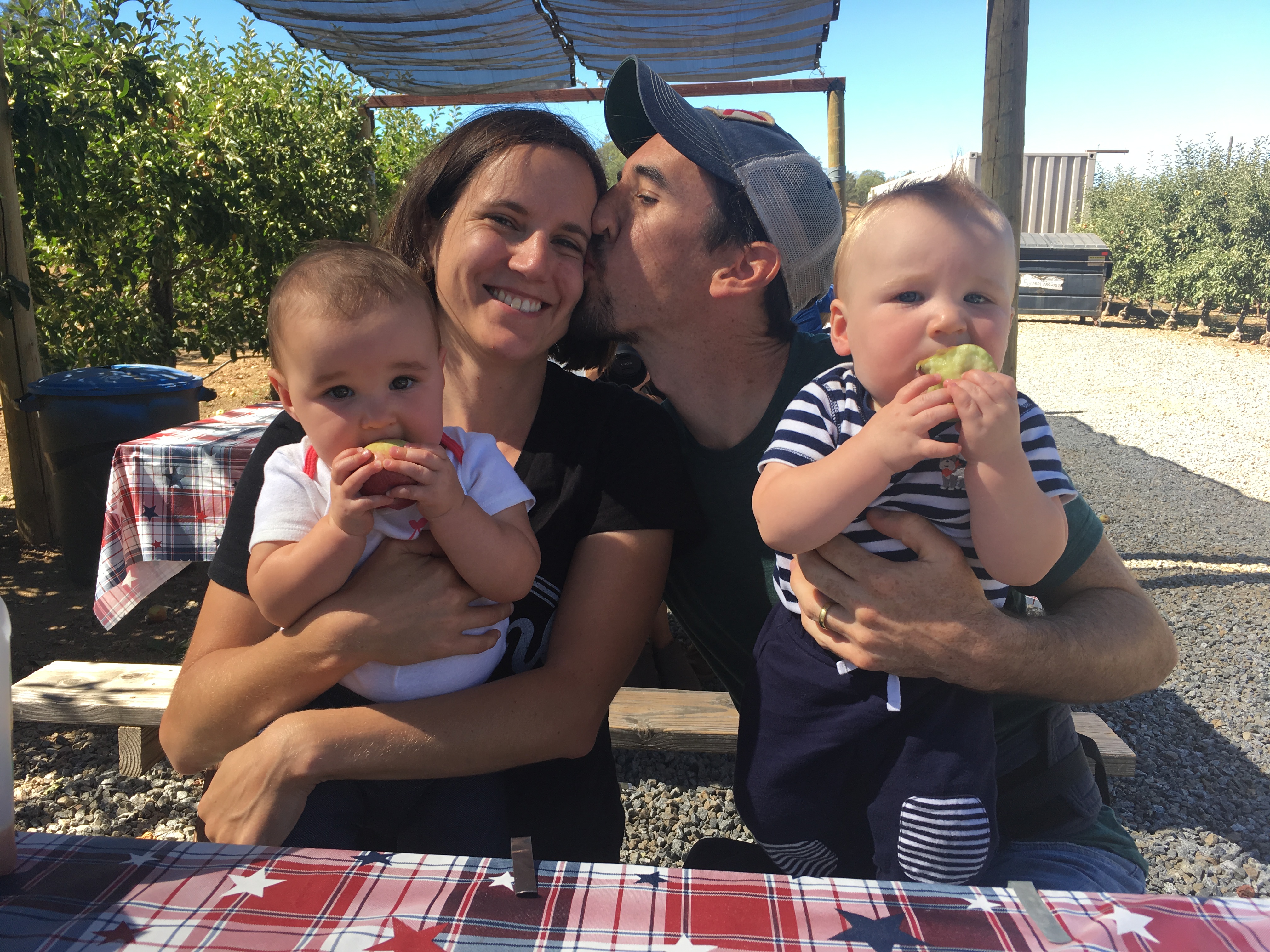 Apple picking in Julian