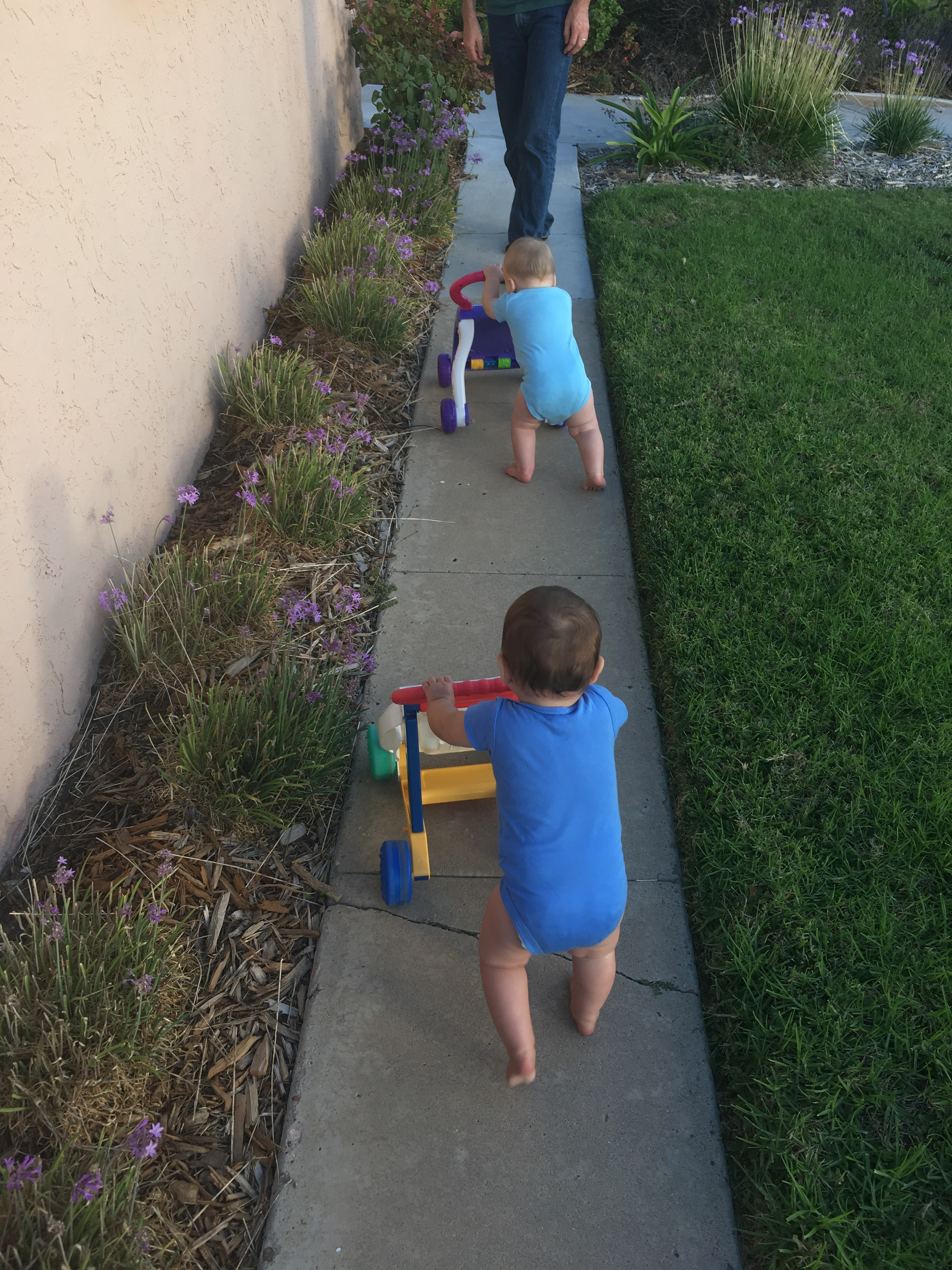 Pushing their walkers!