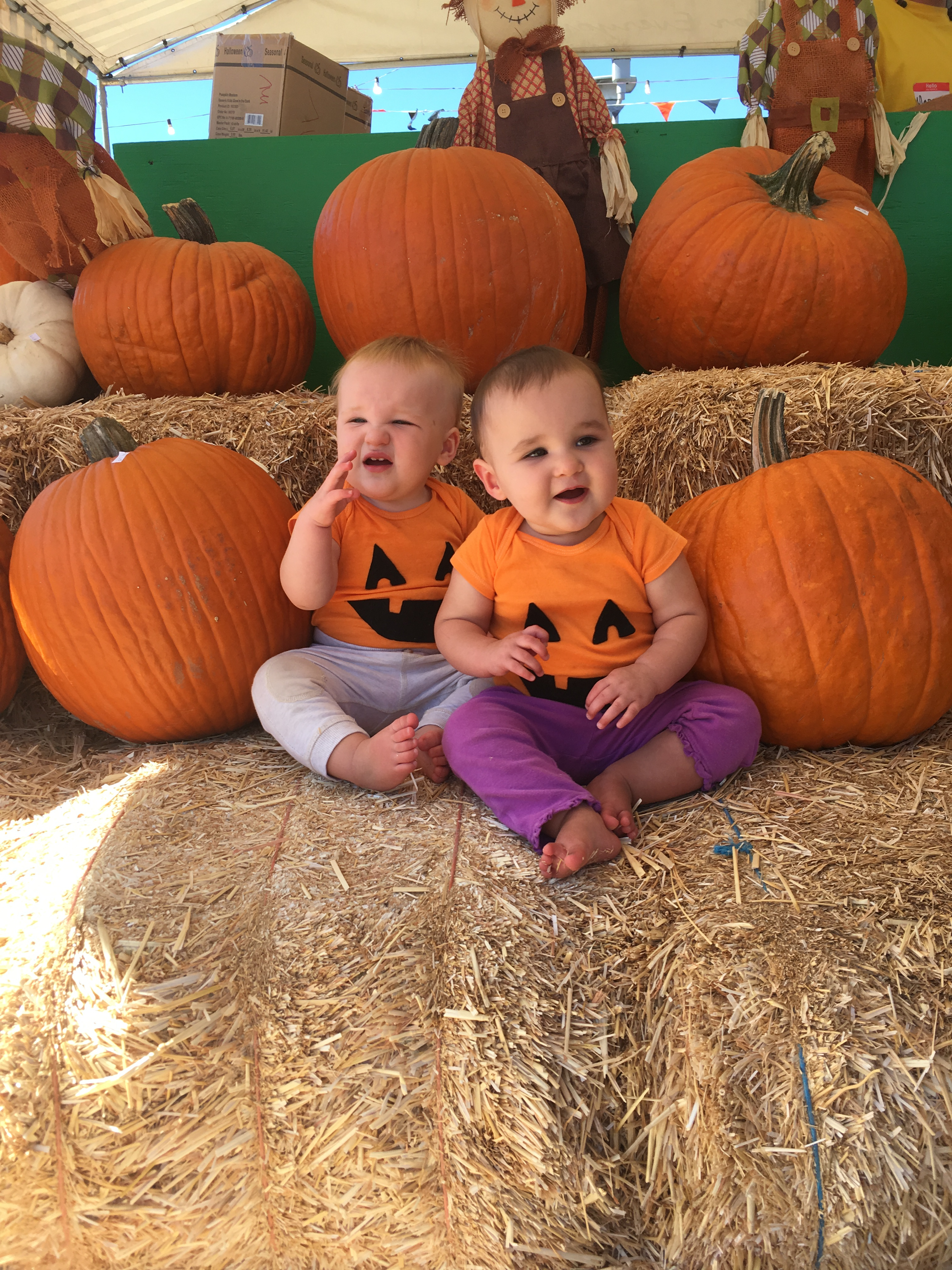 Little pumpkins