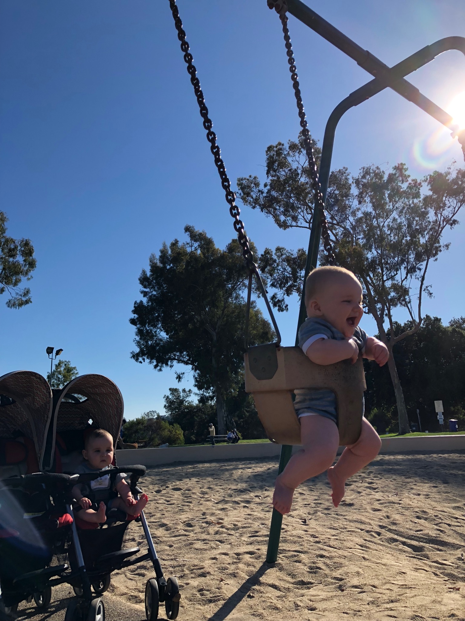 Swings!