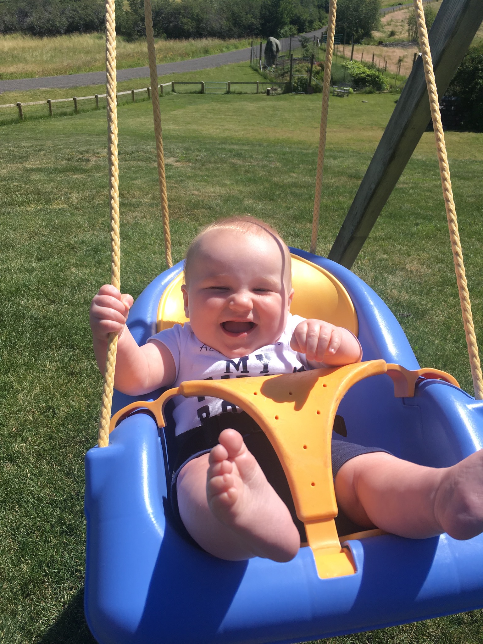 Swings!