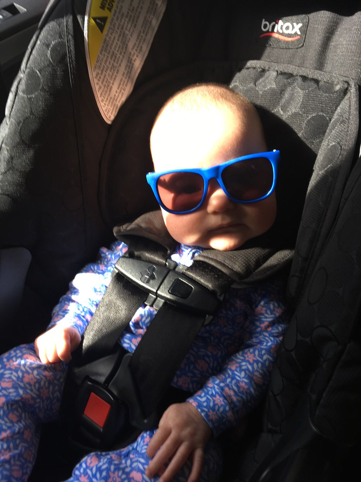 Marian rockin shades
