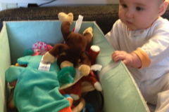 Which toy to choose?