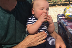 Apple picking in Julian