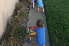 Pushing their walkers!