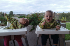Dinner time