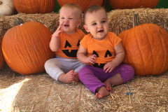 Little pumpkins
