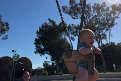 Swings!