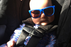Marian rockin shades